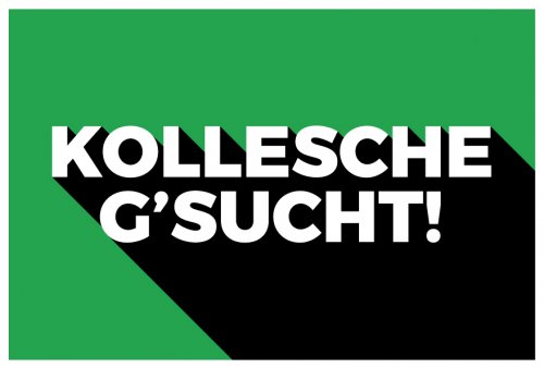 Aufkleber Hinweis "KOLLESCHE G´SUCHT!" Job Schild Folie | Variante wählbar