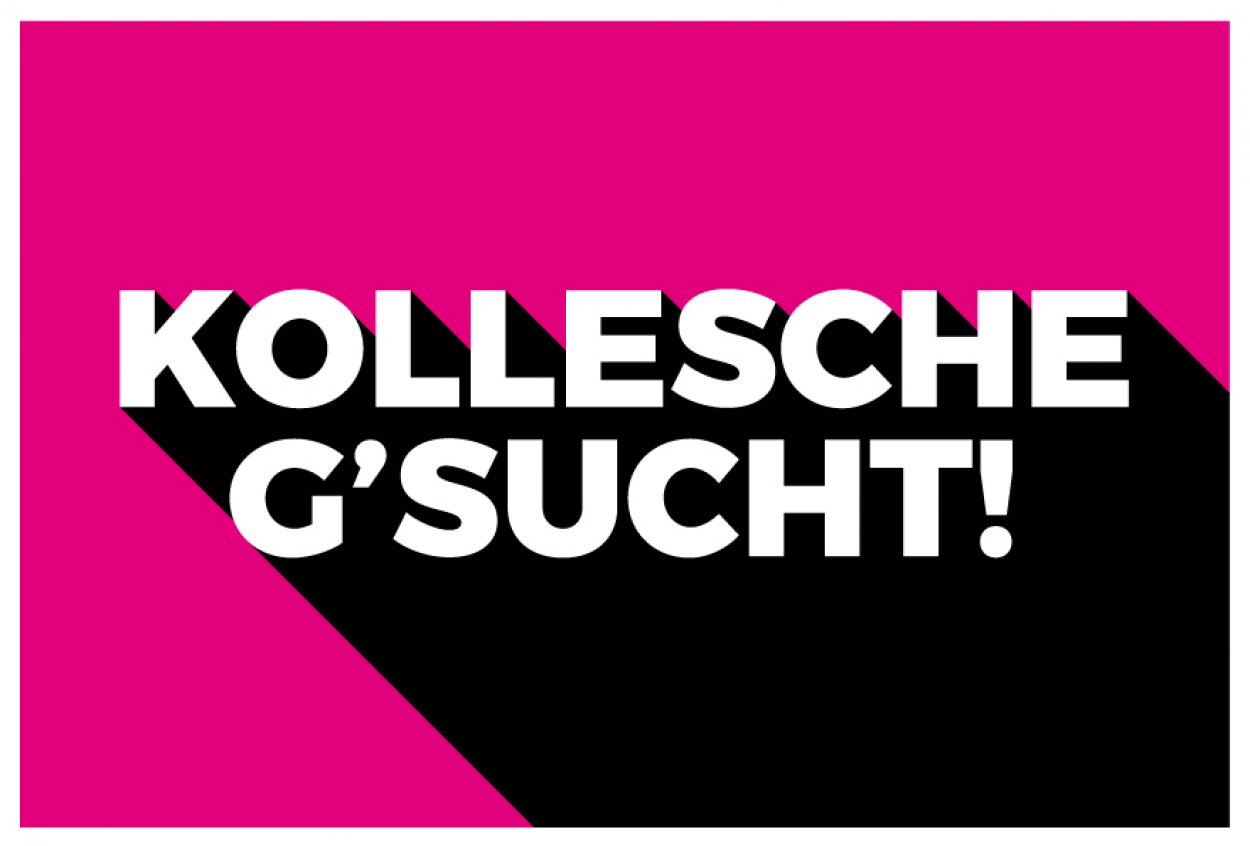 Aufkleber Hinweis "KOLLESCHE G´SUCHT!" Job Schild Folie | Variante wählbar