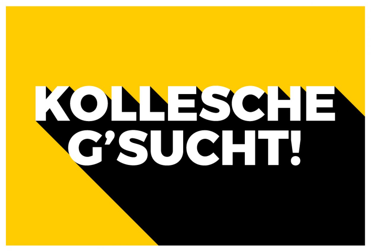 Aufkleber Hinweis "KOLLESCHE G´SUCHT!" Job Schild Folie | Variante wählbar