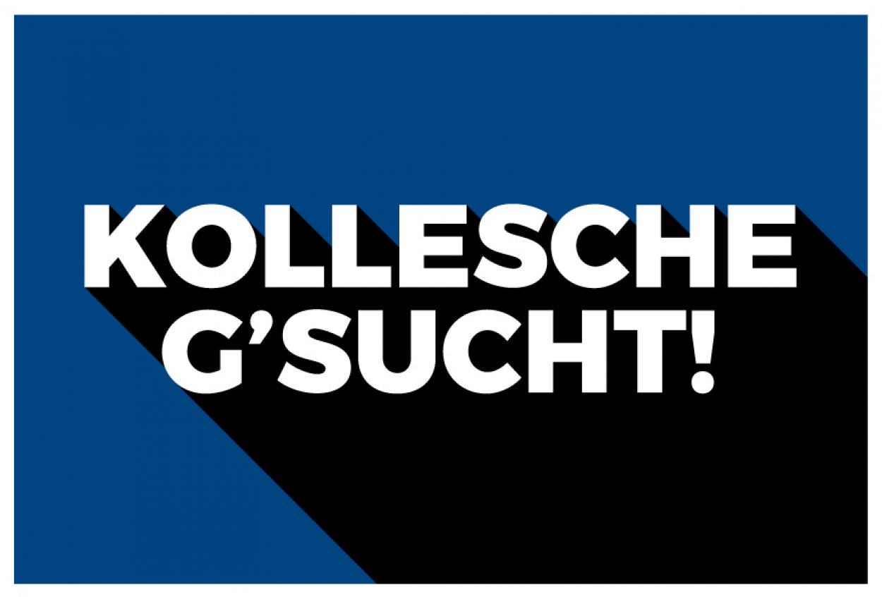 Aufkleber Hinweis "KOLLESCHE G´SUCHT!" Job Schild Folie | Variante wählbar